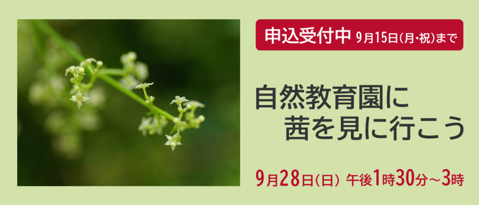 ９月28日(日)「自然教育園に茜を見に行こう」申込受付中