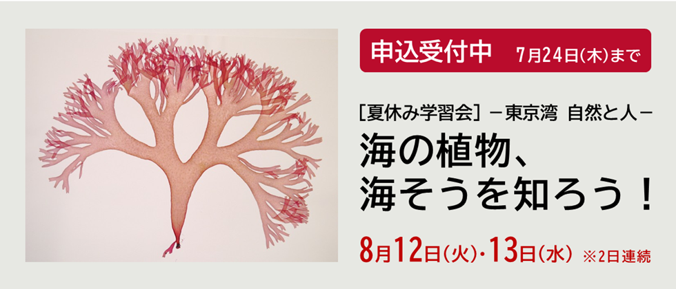 ８月12日(火)・13日(水) 「夏休み学習会」申込受付中