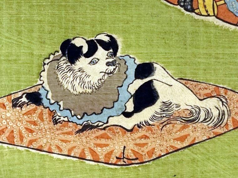 特別展 Life With ネコ 展 講座第3回 江戸時代の犬飼育書 狆の飼育を中心に 講座 イベント 港区立郷土歴史館 特別展 Life With ネコ 展 講座第3回 江戸時代の犬飼育書 狆の飼育を中心に 講座 イベント 港区立郷土歴史館